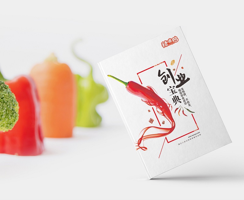 餐飲招商加盟手冊(cè)設(shè)計(jì)-餐飲招商宣傳冊(cè)設(shè)計(jì)圖片2