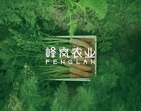 農(nóng)業(yè)品牌升級VI設(shè)計-農(nóng)業(yè)公司VIS系統(tǒng)設(shè)計