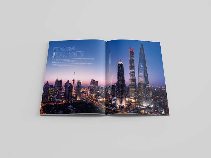 房地產(chǎn)公司畫冊(cè)設(shè)計(jì)-房地產(chǎn)公司宣傳冊(cè)設(shè)計(jì)圖片2